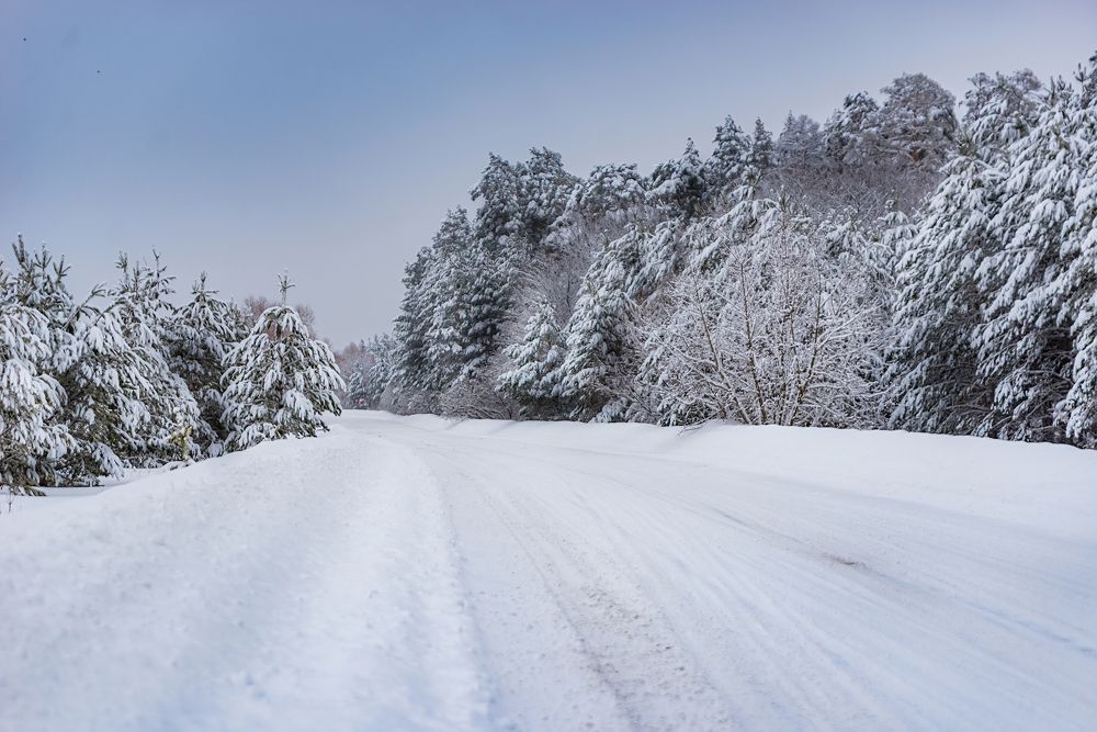 Photograph by Oksana Kolovskaya