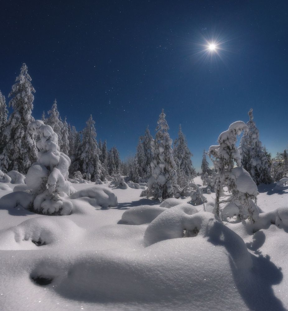 Photograph by Устюжанин Михаил