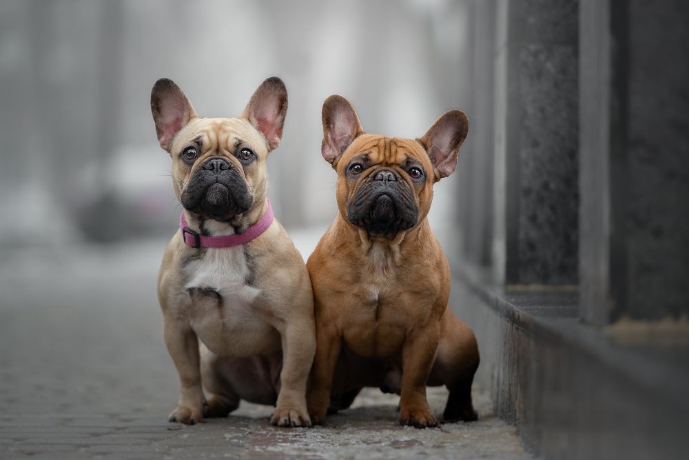 Photograph by Виталий Черняховский