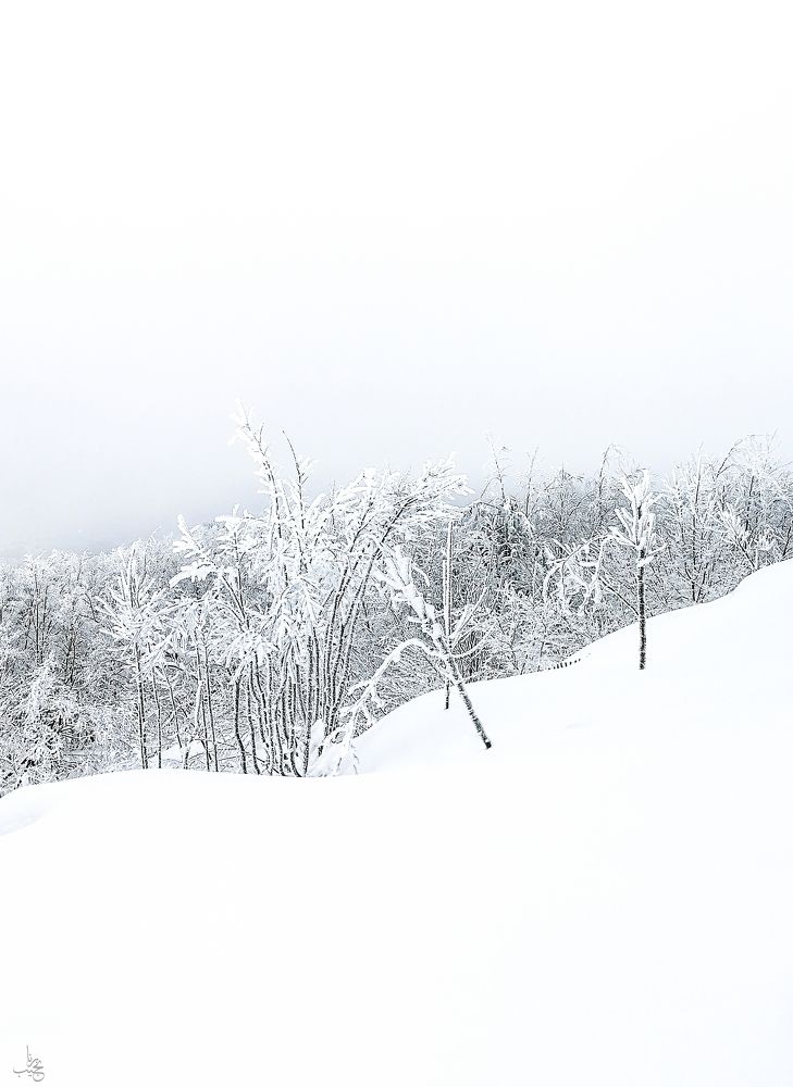 Photograph by Rana Khan