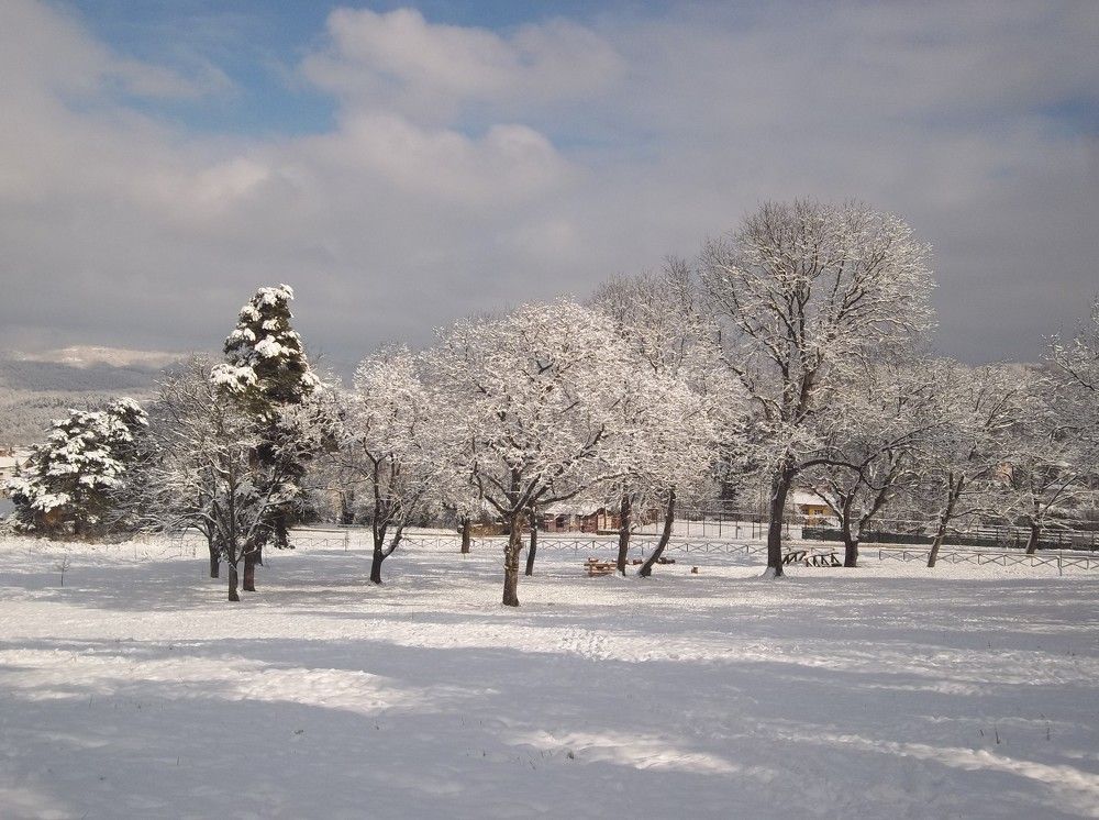 Photograph by Георги Колев