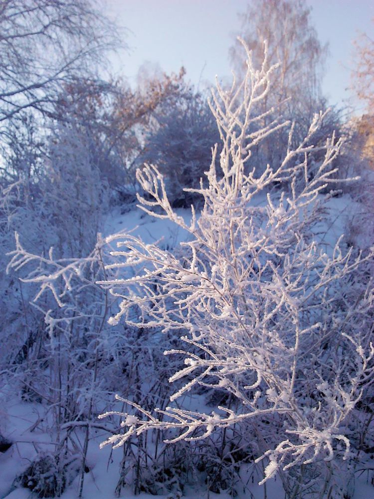 Photograph by Анастасия