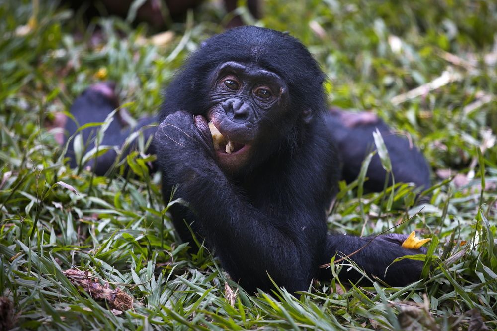 Беззаботная грусть