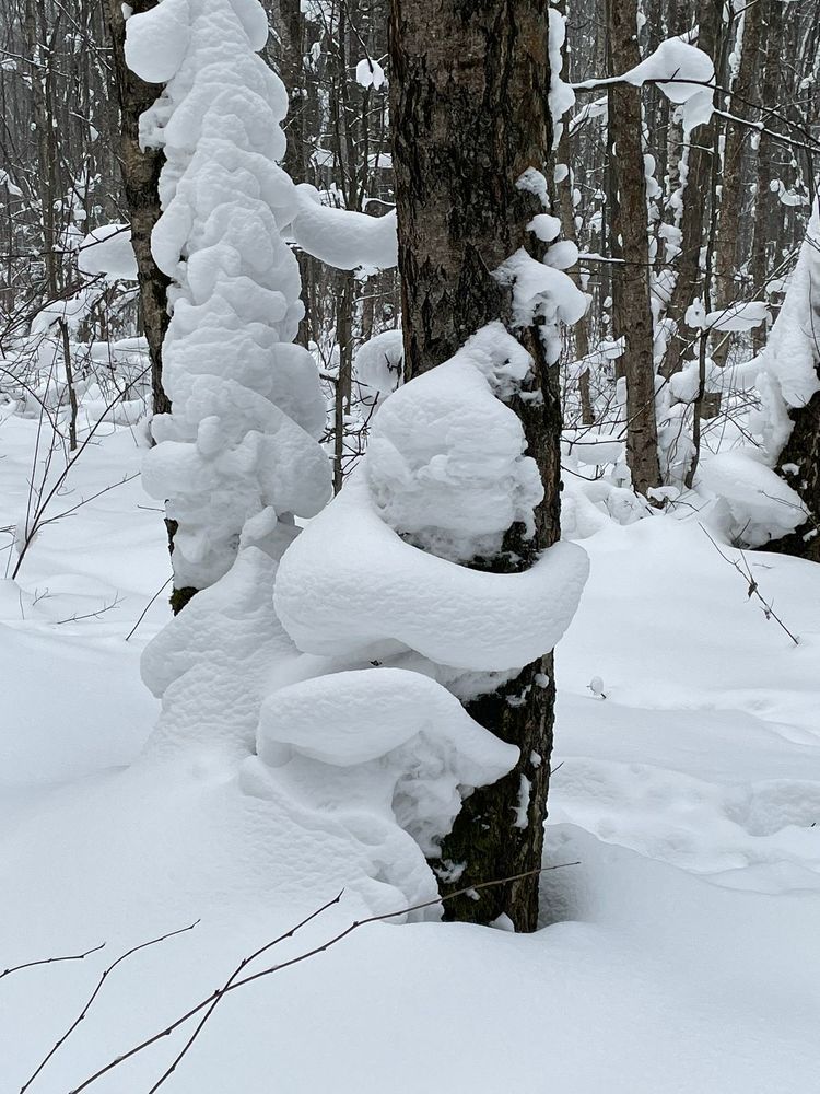 Photograph by Тася Милая