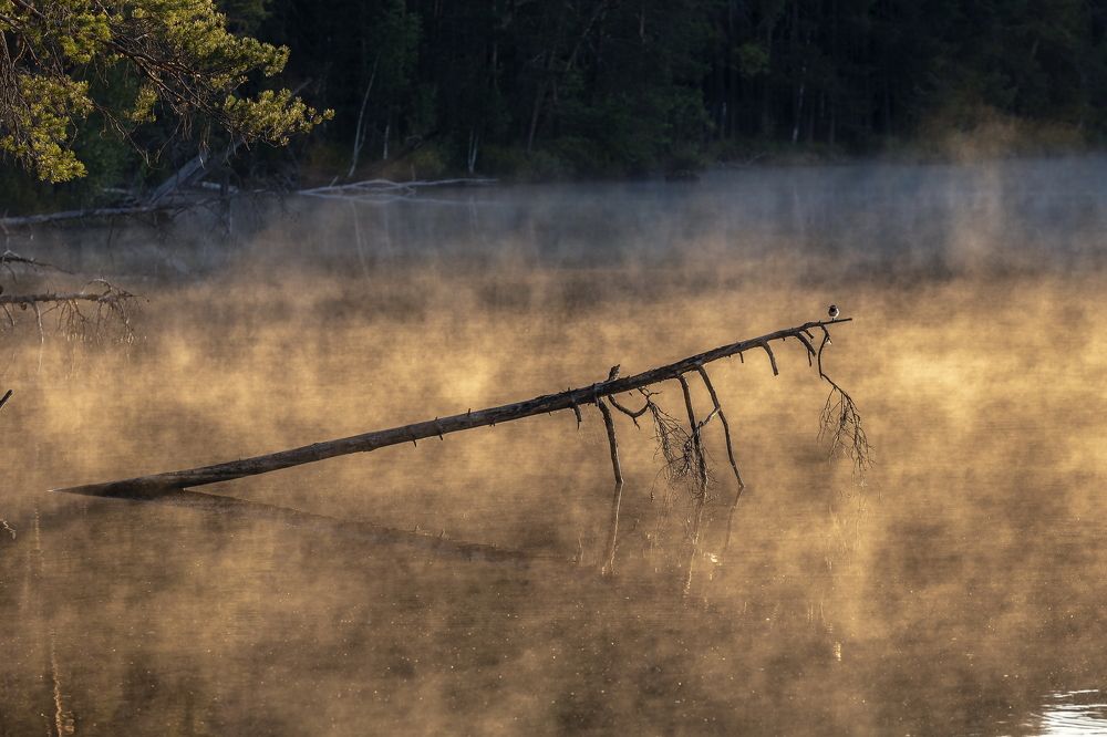 Photograph by Иванов Дмитрий