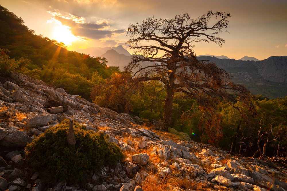 Photograph by Радик Гатауллин