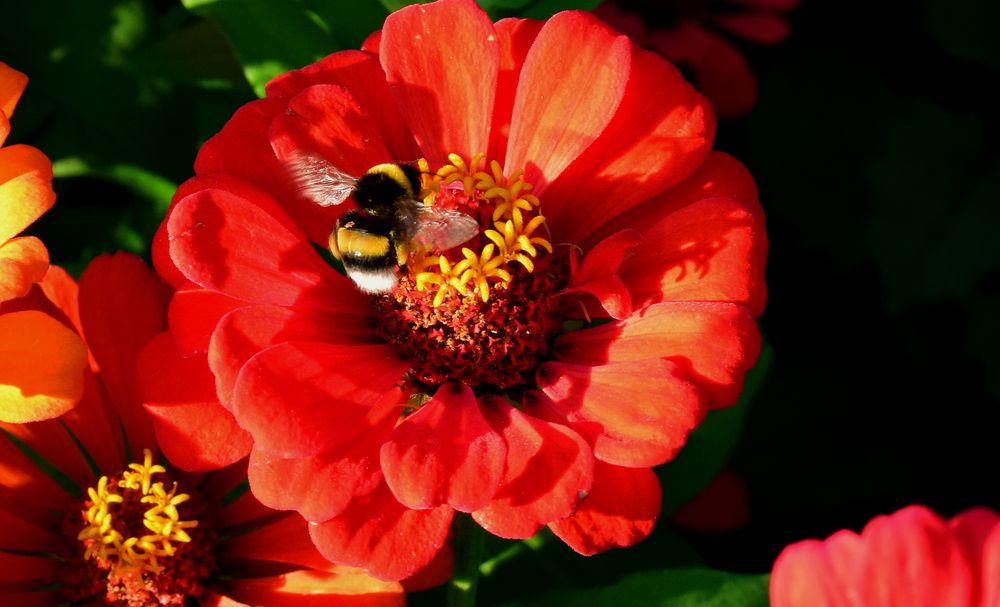 Photograph by Татьяна Дорожко