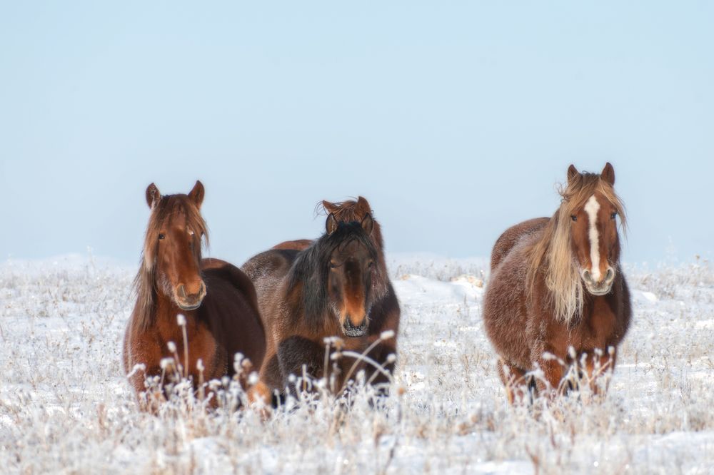 Photograph by Ирина Мошковская
