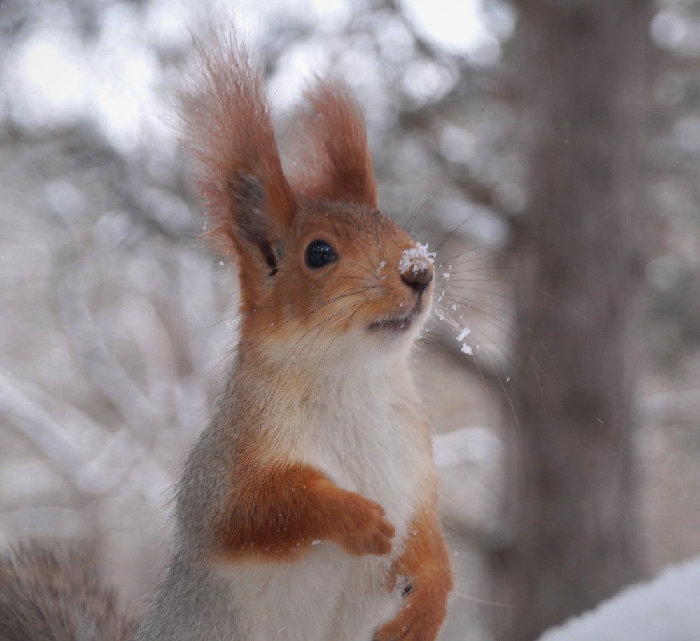 Photograph by Наталья Степаненко