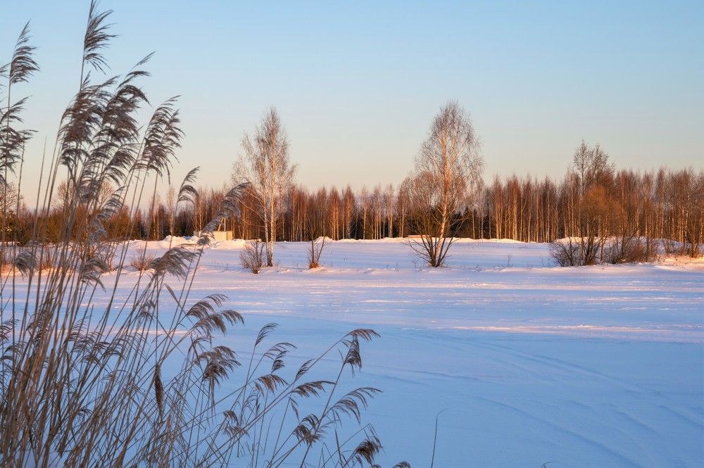 Photograph by Гусева Юлия