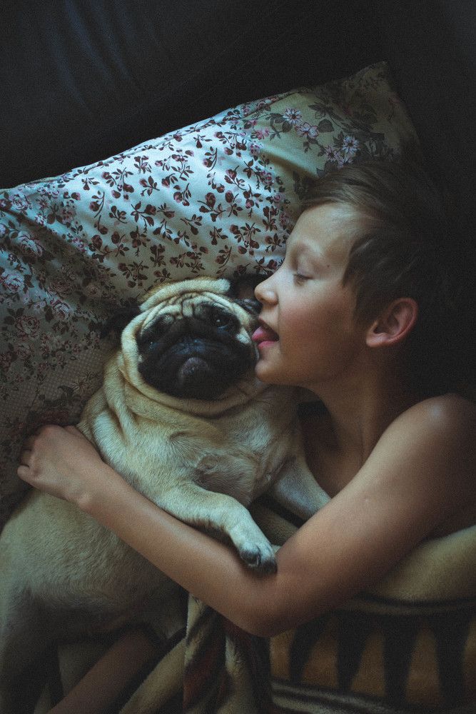 Photograph by Елена Блинкова