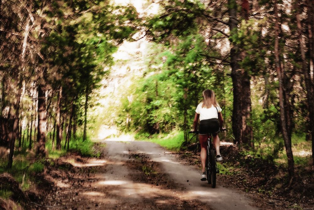 Велопрогулка по бору