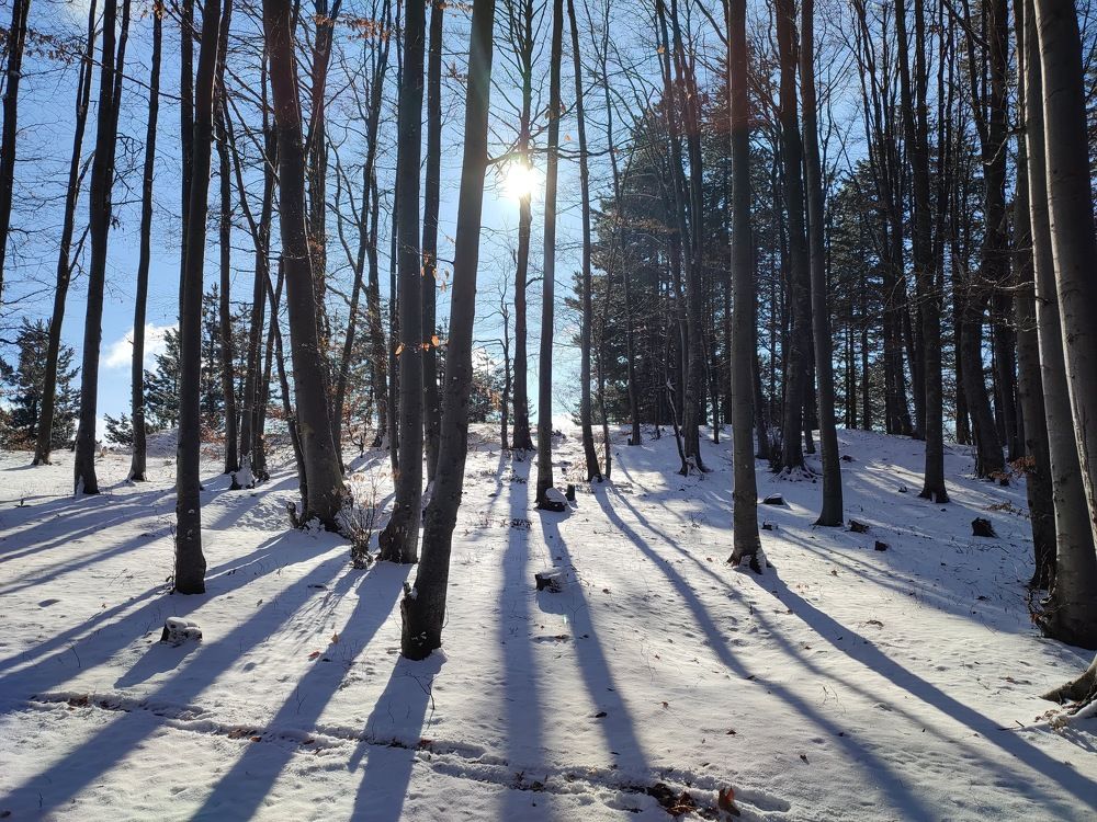 Photograph by Ljiljana Nedeljković