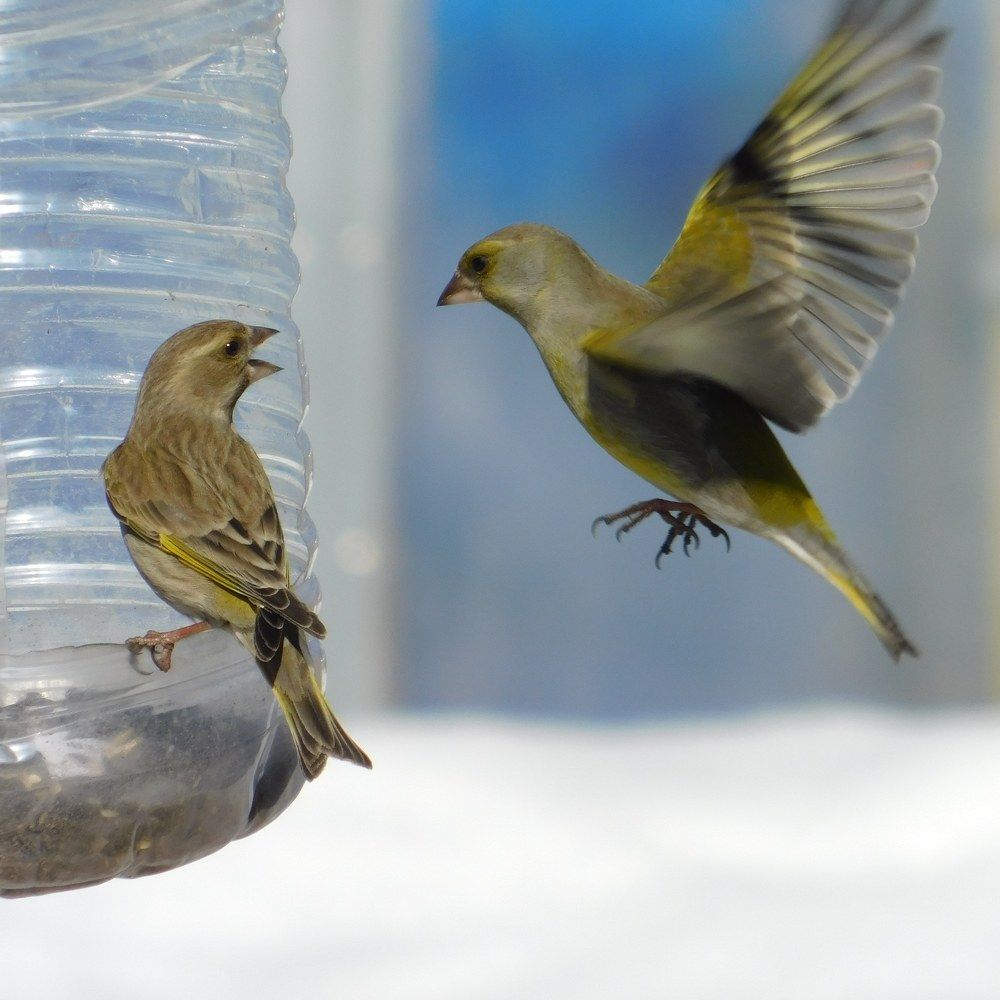 Photograph by Татьяна