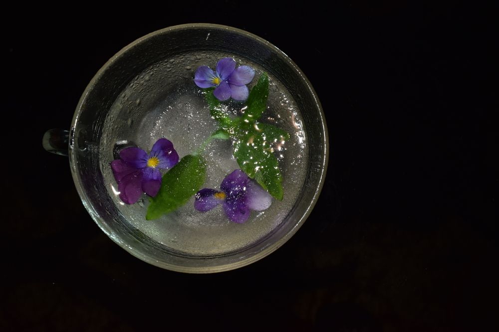 Photograph by Татьяна Дорожко