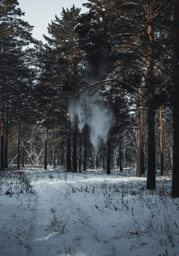 Photograph by Евгений Крюков