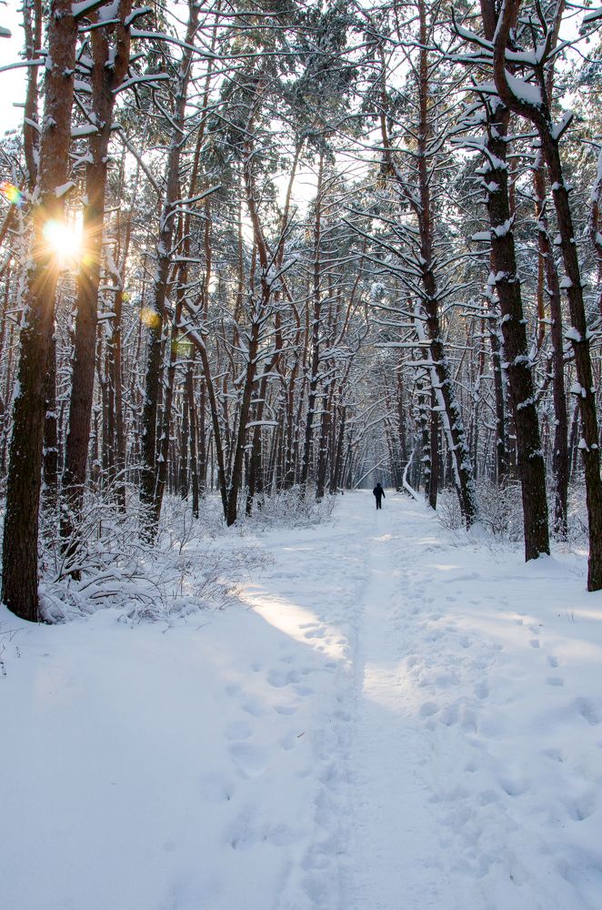 Photograph by Писаренко Оля