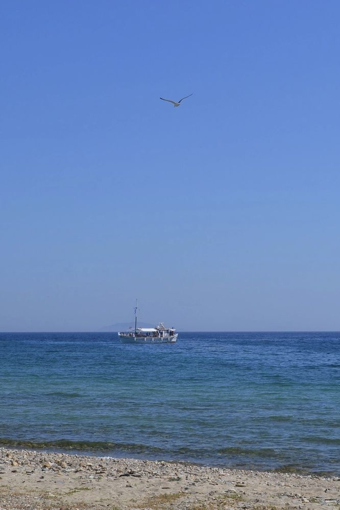 Photograph by Екатерина