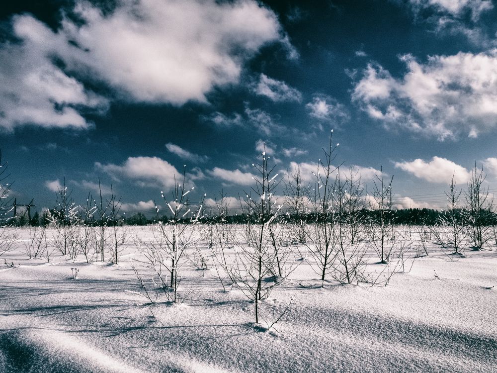 Photograph by Борис Челышев