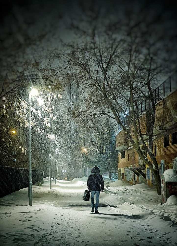 По зимним заснеженным улицам