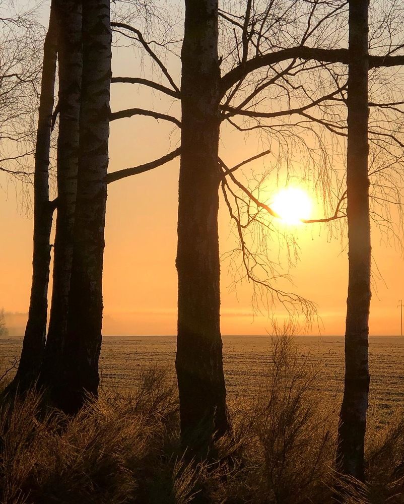 Photograph by Лариса