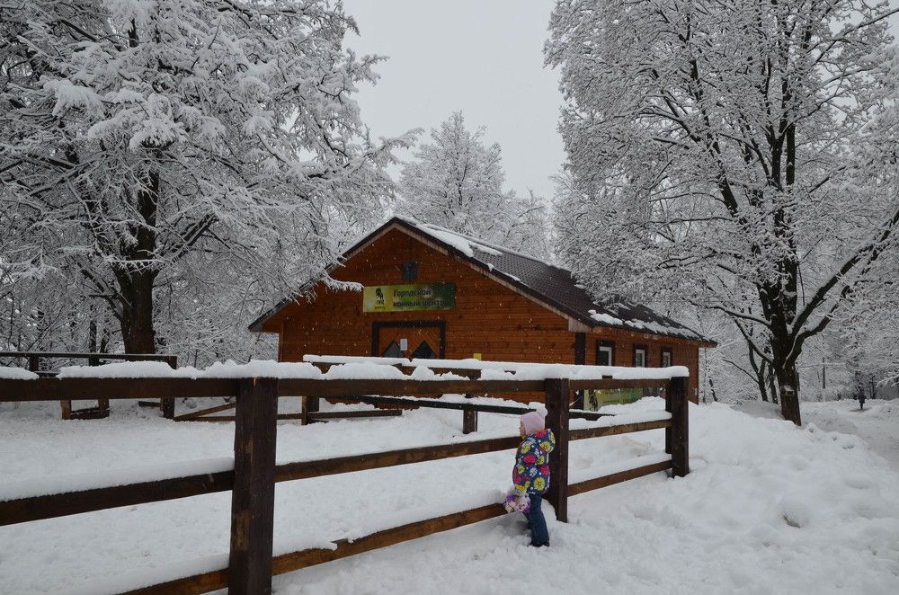 Фотография автора Агапова Арина