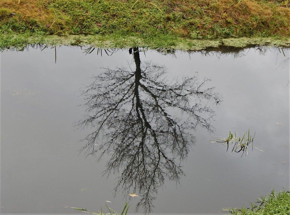 Photograph by Ирина Самойленко