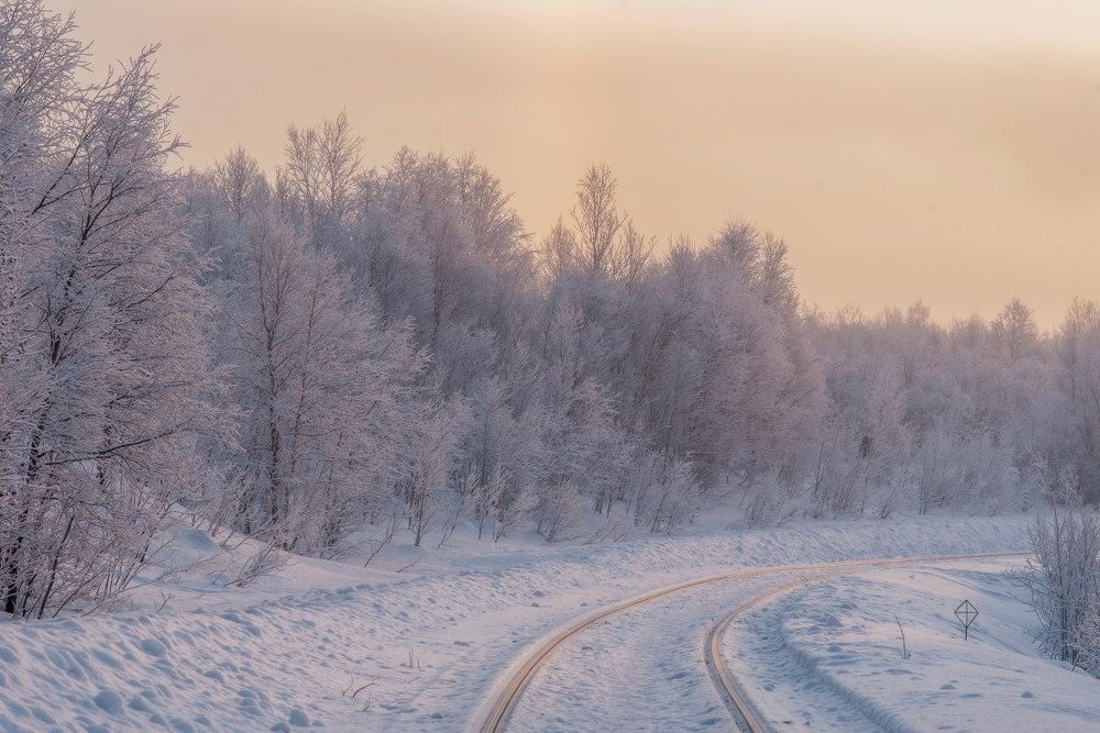 Photograph by Марина Зборацкая
