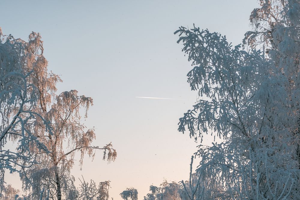 Photograph by Александр Нестеров