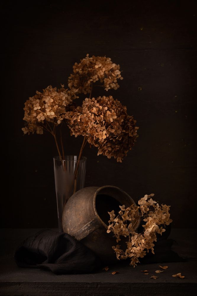 Фотография автора nolan