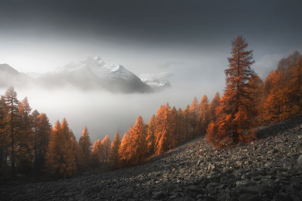 Photograph by Andrea Giannuzzi