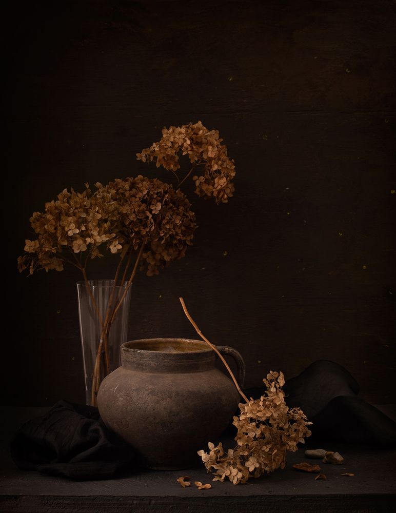 Фотография автора nolan