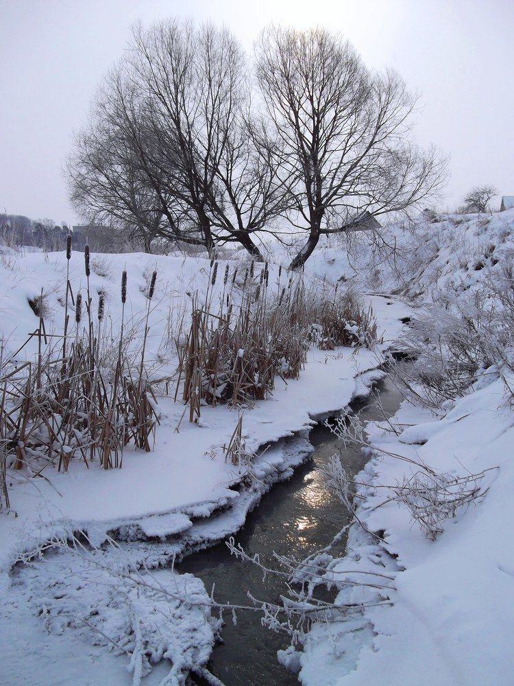 Photograph by Дмитрий Крылов