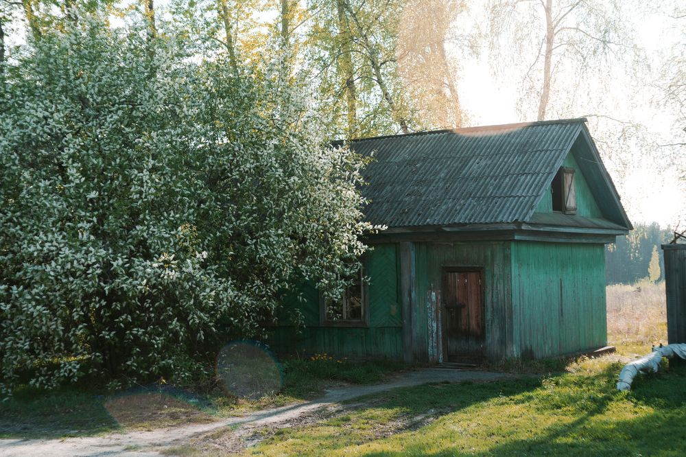 Photograph by Александр Нестеров