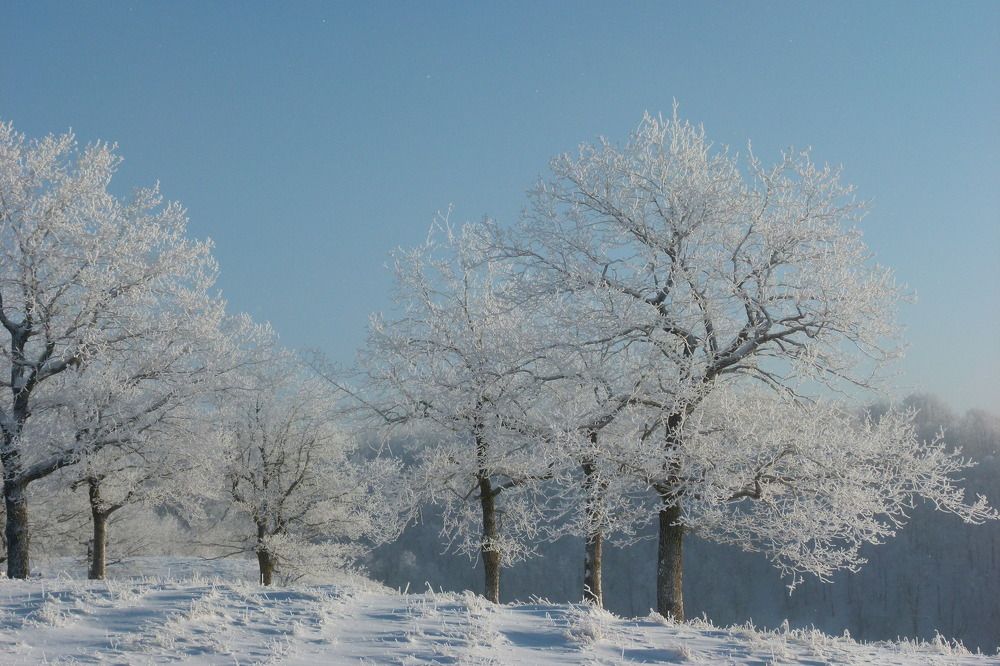 Photograph by Александр Кизим