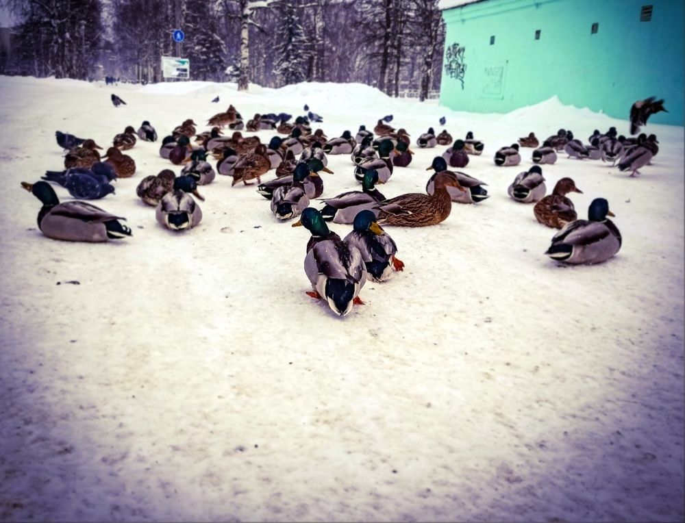 Photograph by Valerdefd