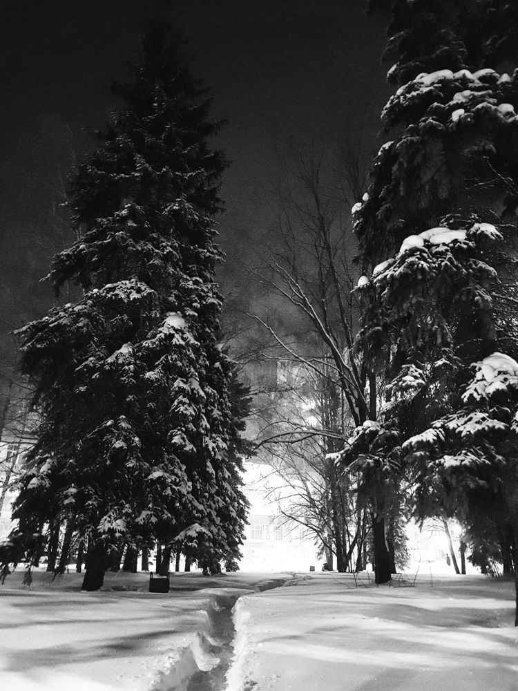 Photograph by Инга Сабанова