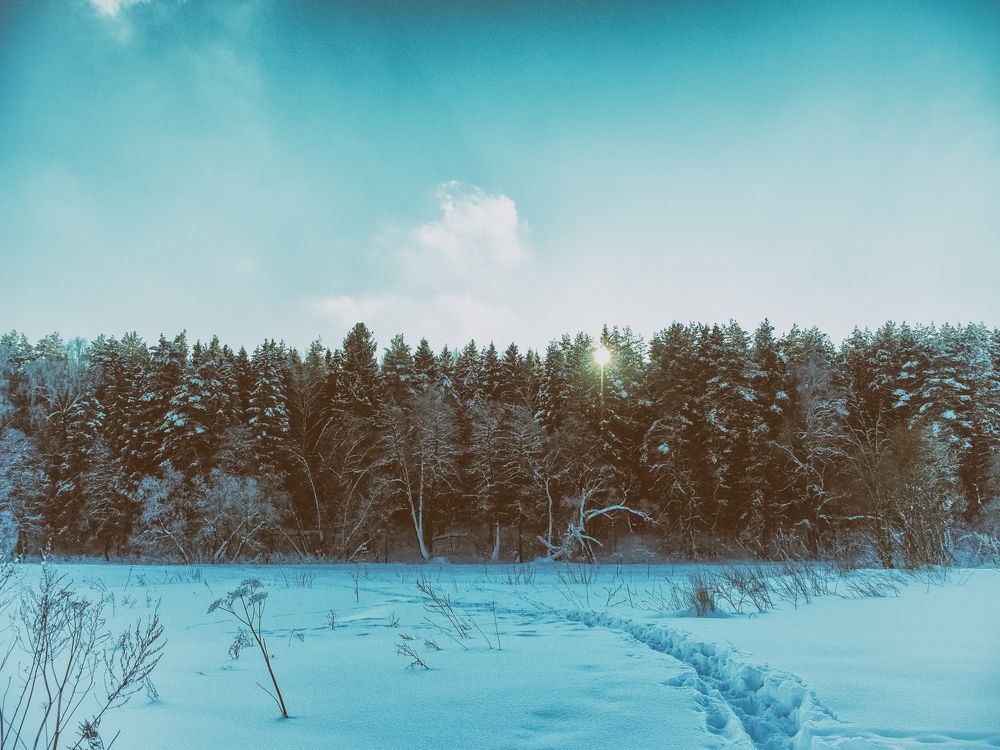 Photograph by Борис Челышев