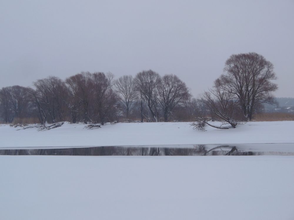 Photograph by Светлана Батурова