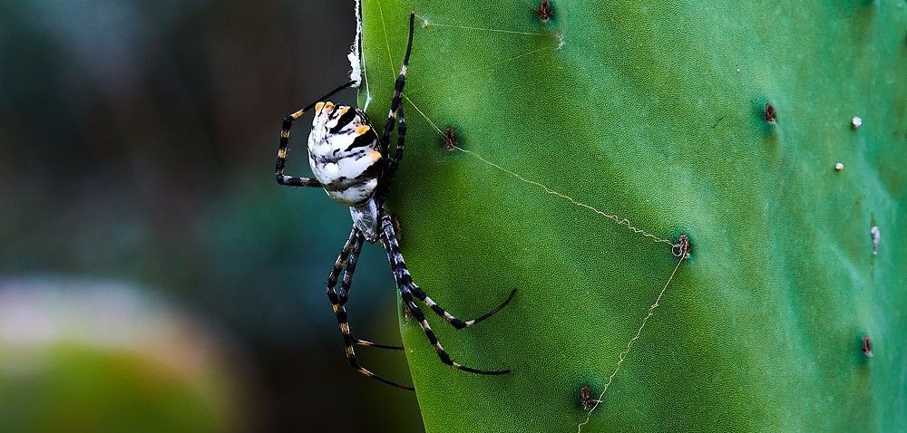 Working in Formentera