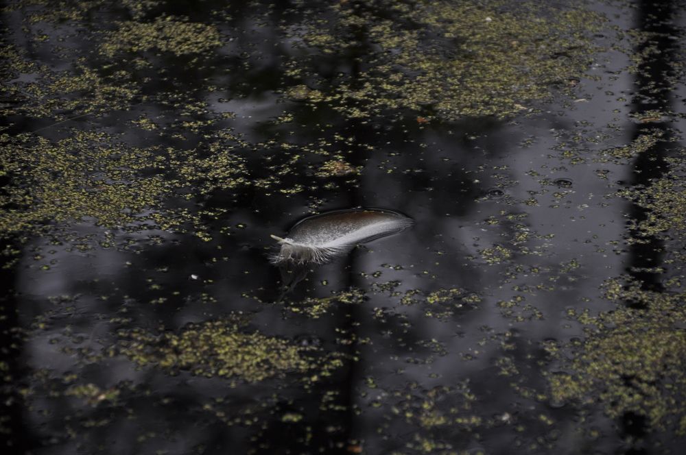 Photograph by Ольга Струкалина