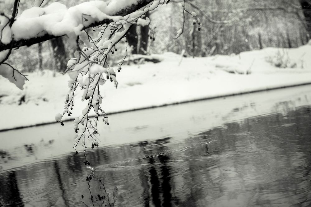 Photograph by Alena