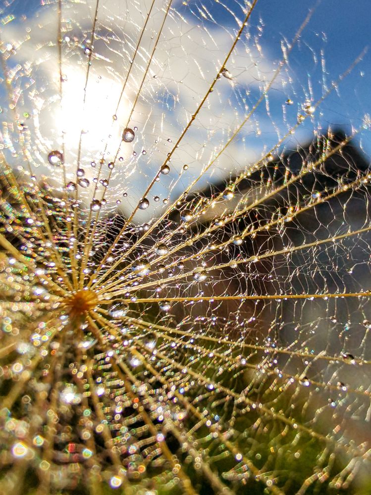 Photograph by Милородова Наталья