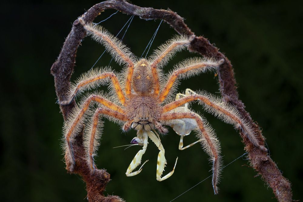 Photograph by way pang