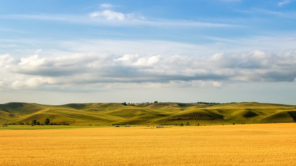 Фотография автора Александр Рудный