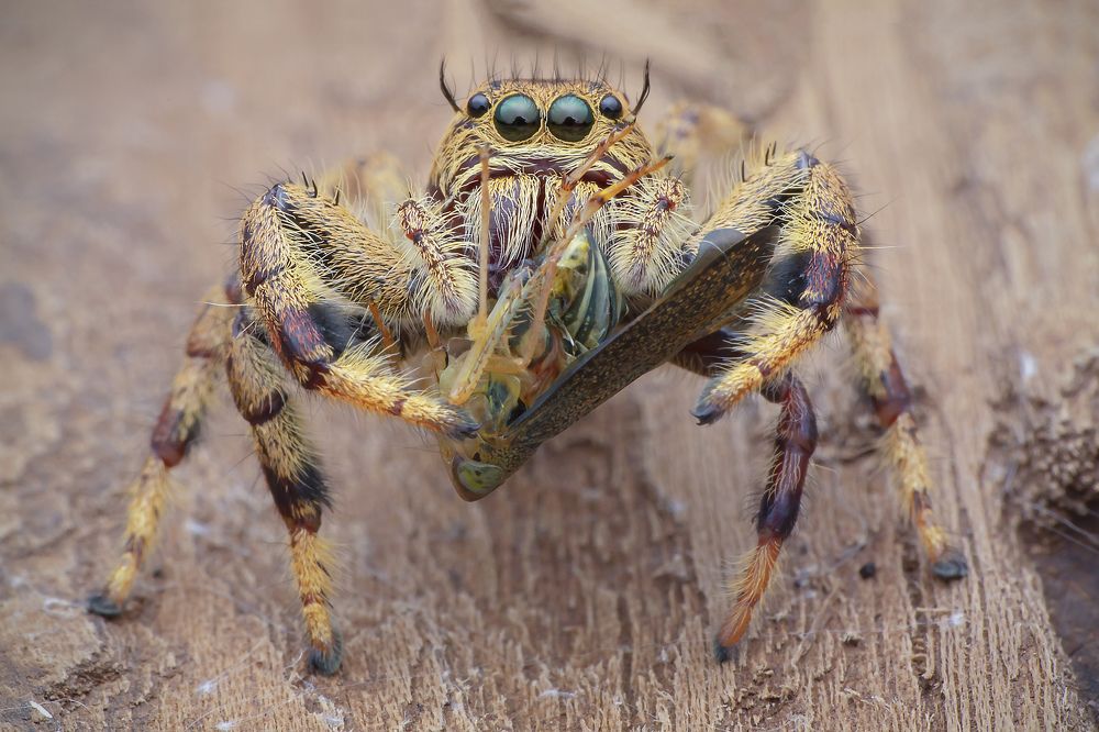 Photograph by way pang