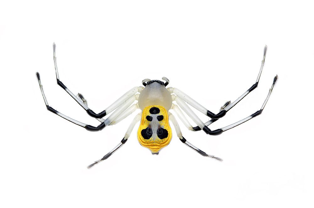 Photograph by way pang