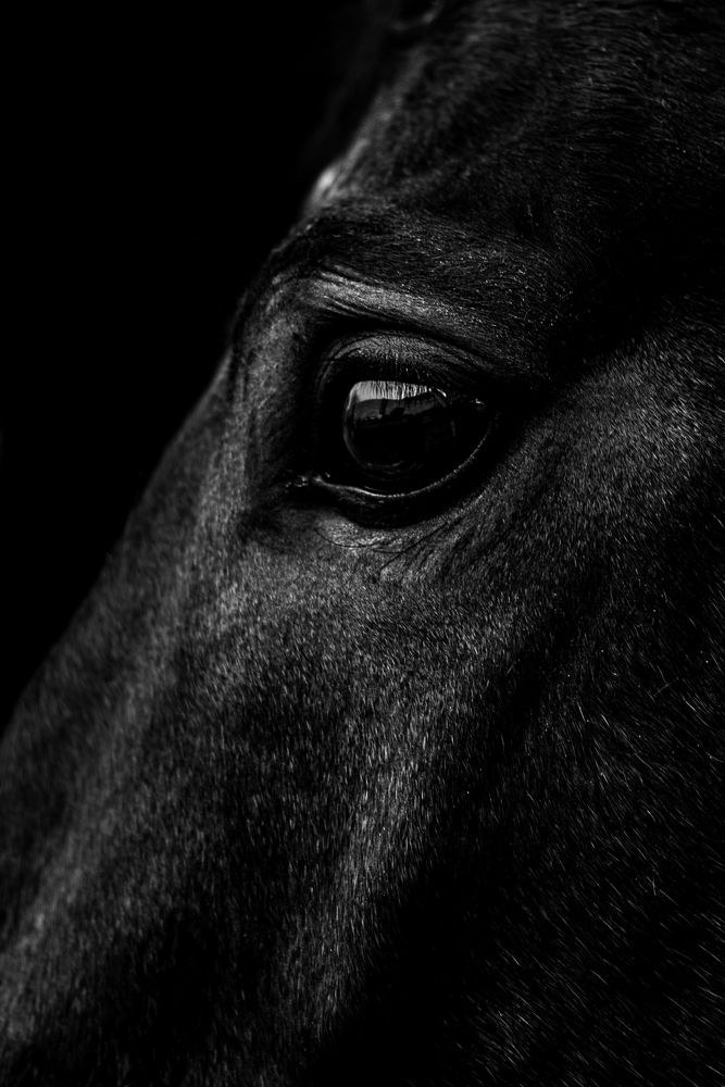 Photograph by Evgeniya Stafeeva