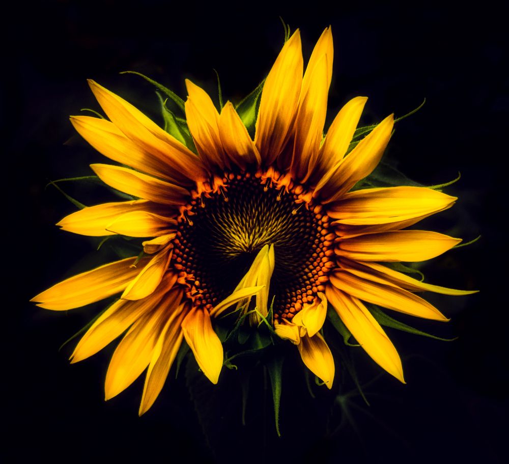 Photograph by Светлана Перминова