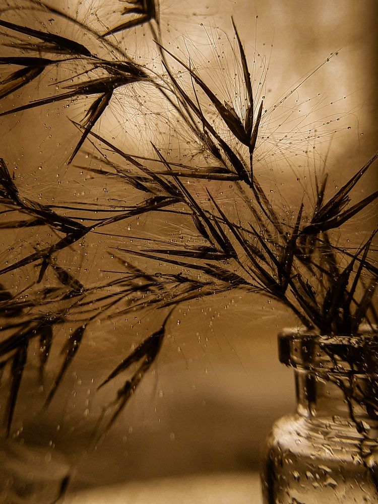 Photograph by Анна Чичилова